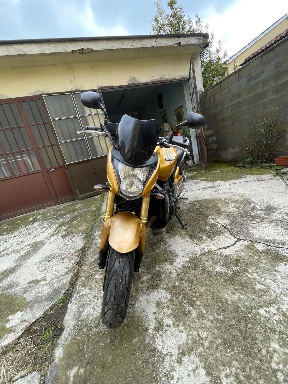 Honda Hornet 600 (2007 - 10) (4)