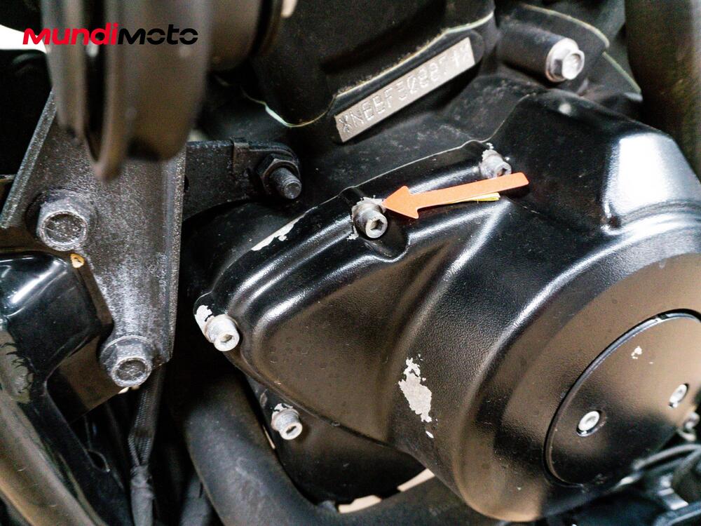 Harley-Davidson 750 Street (2014 - 16) - XG 750 (18)