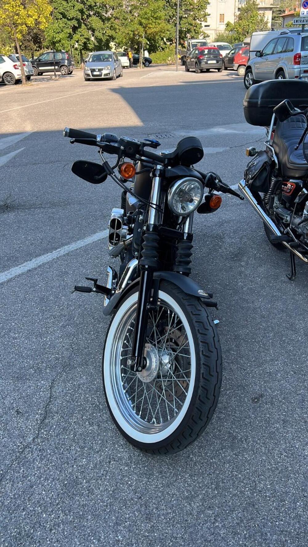 Harley-Davidson 883 Iron (2009 - 11) - XL 883N (3)