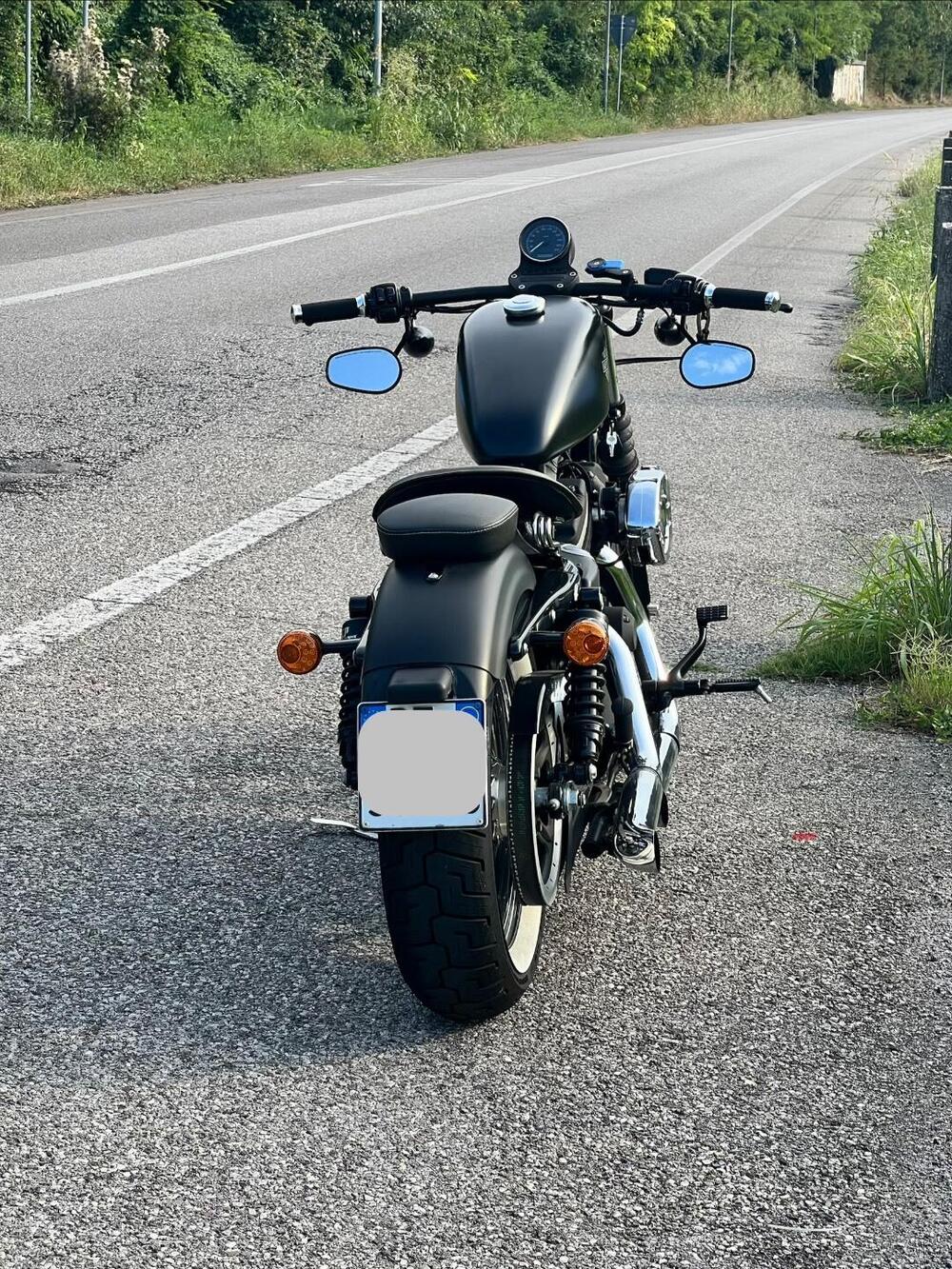 Harley-Davidson 883 Iron (2009 - 11) - XL 883N (2)