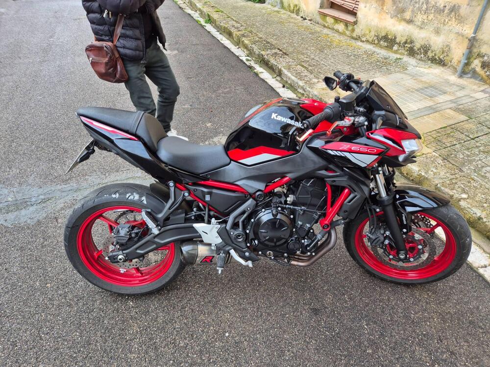 Kawasaki Z 650 (2021 - 24) (2)