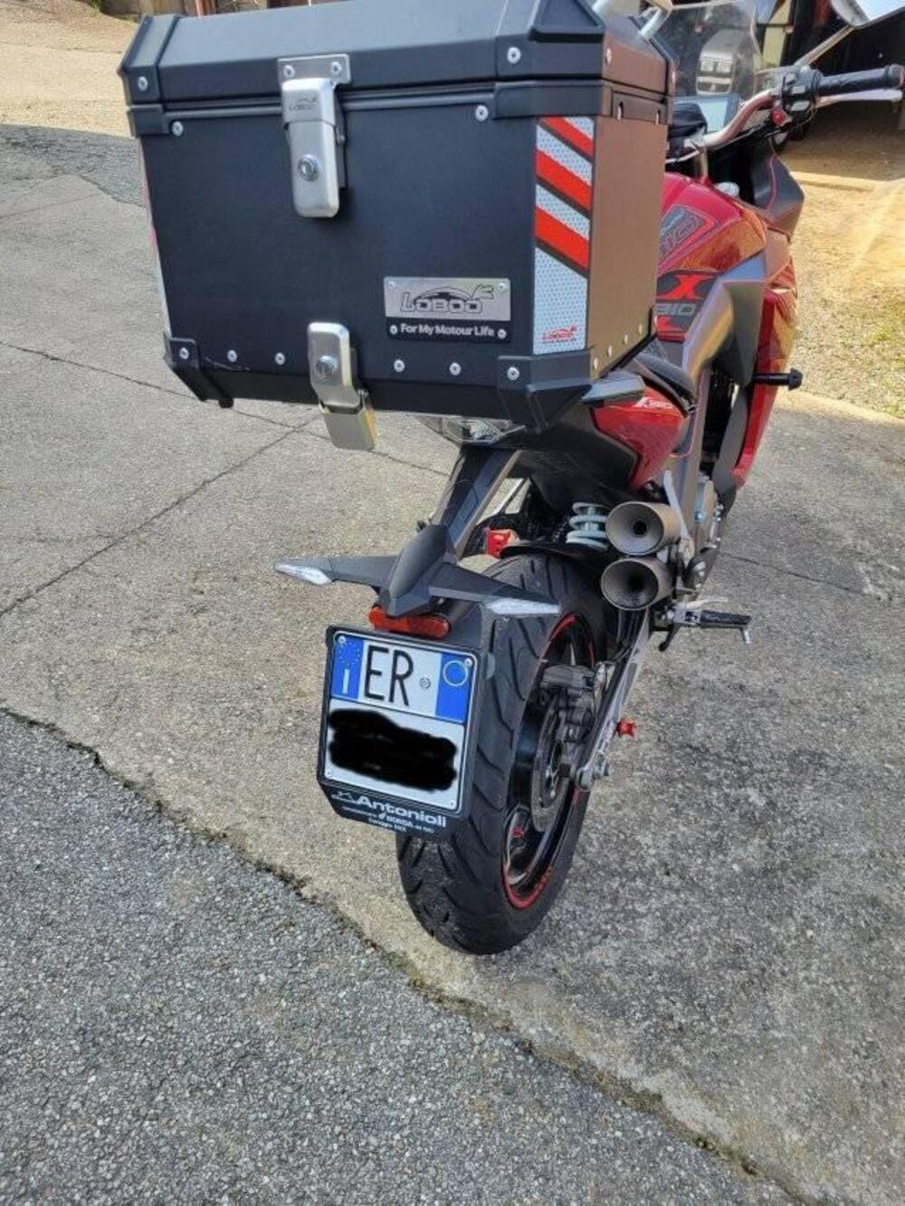 Zontes ZT310-X (2019 - 20) (3)