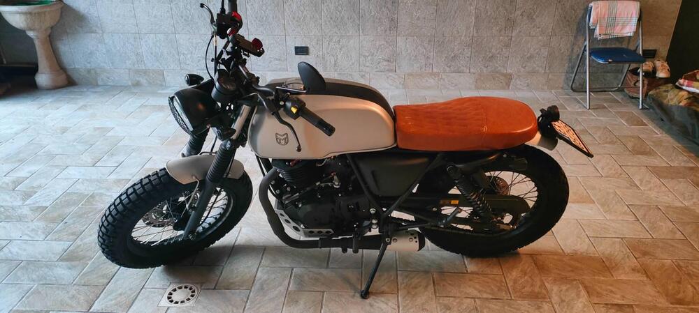 Mutt Motorcycles Akita 250 (2021 - 25)