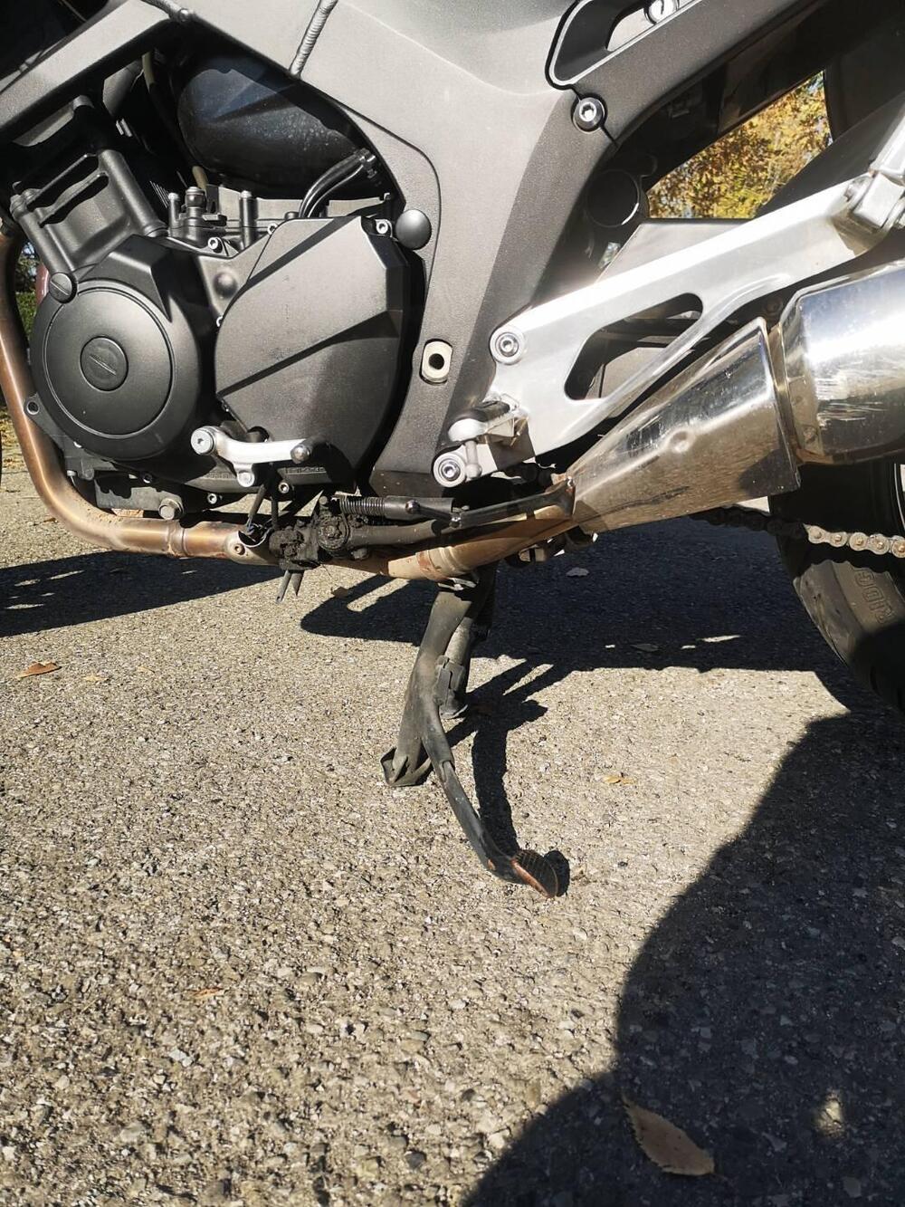 Yamaha TDM 900 (2002 - 14) (5)