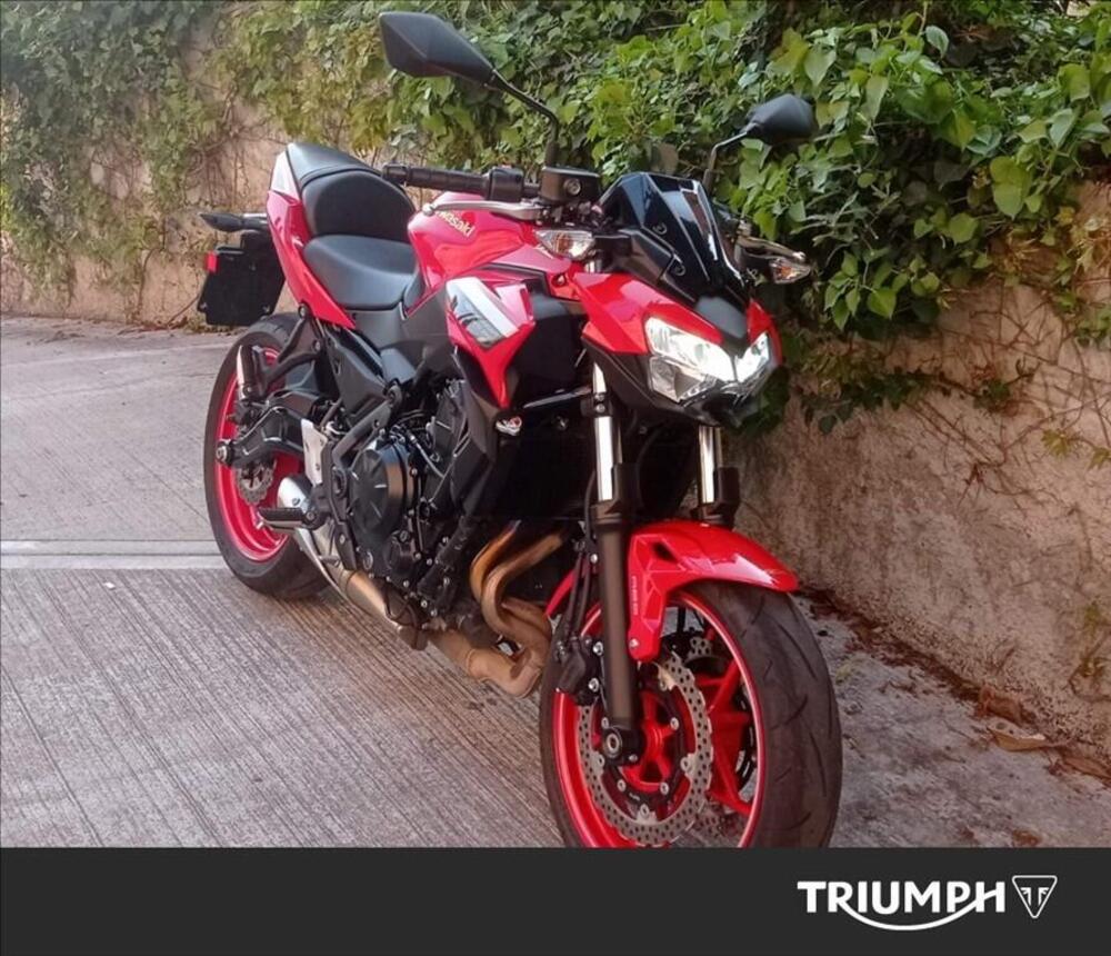 Kawasaki Z 650 50th Anniversary (2022 - 23) (3)