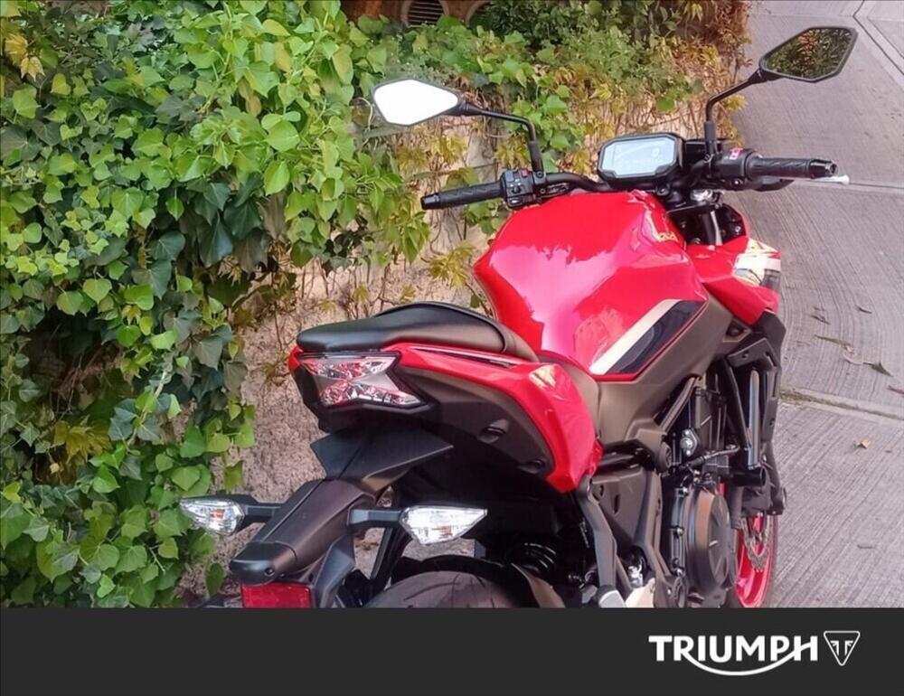 Kawasaki Z 650 50th Anniversary (2022 - 23) (4)