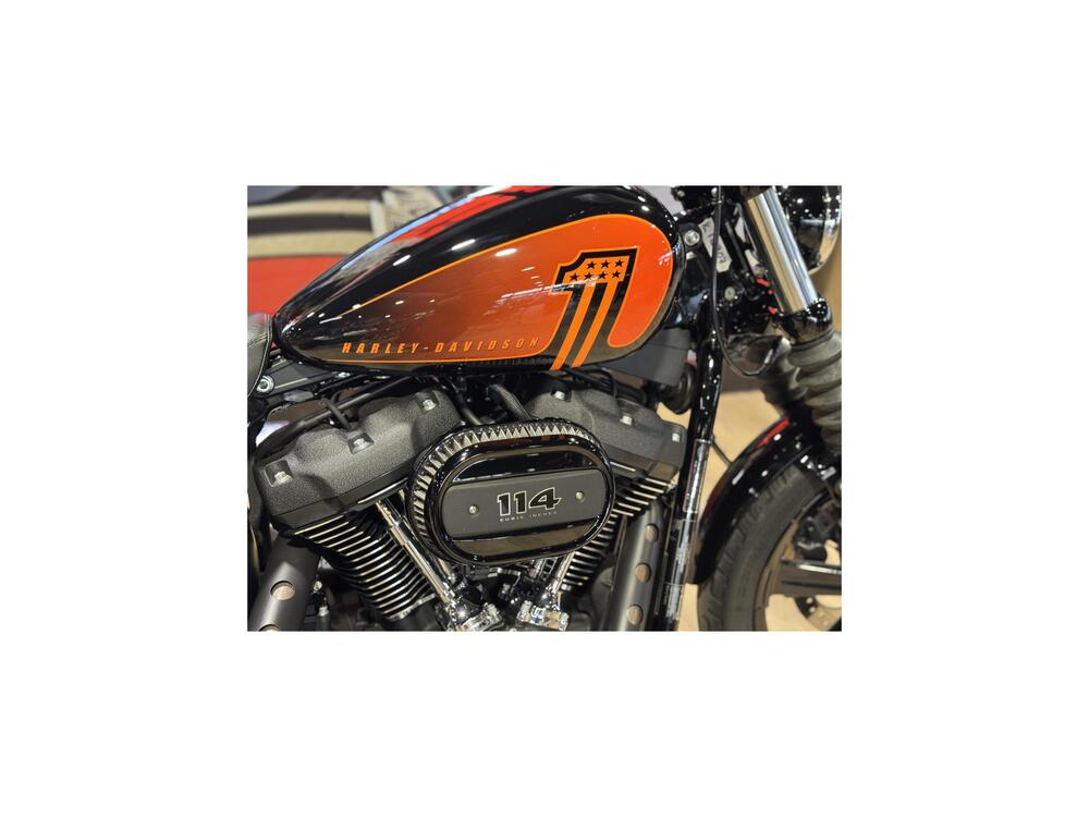 Harley-Davidson Street Bob 114 (2021 - 24) (6)