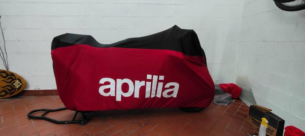 Aprilia RSV 1000 R Factory (2004 - 05) (6)