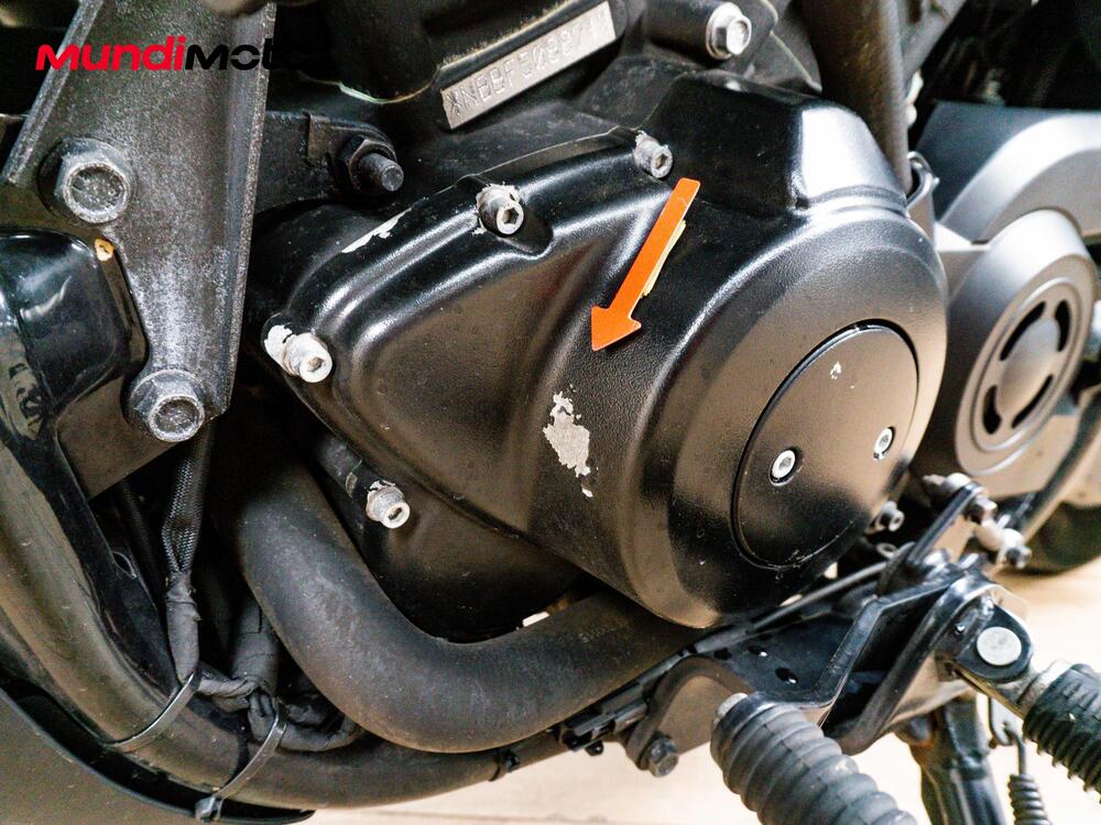 Harley-Davidson 750 Street (2014 - 16) - XG 750 (19)