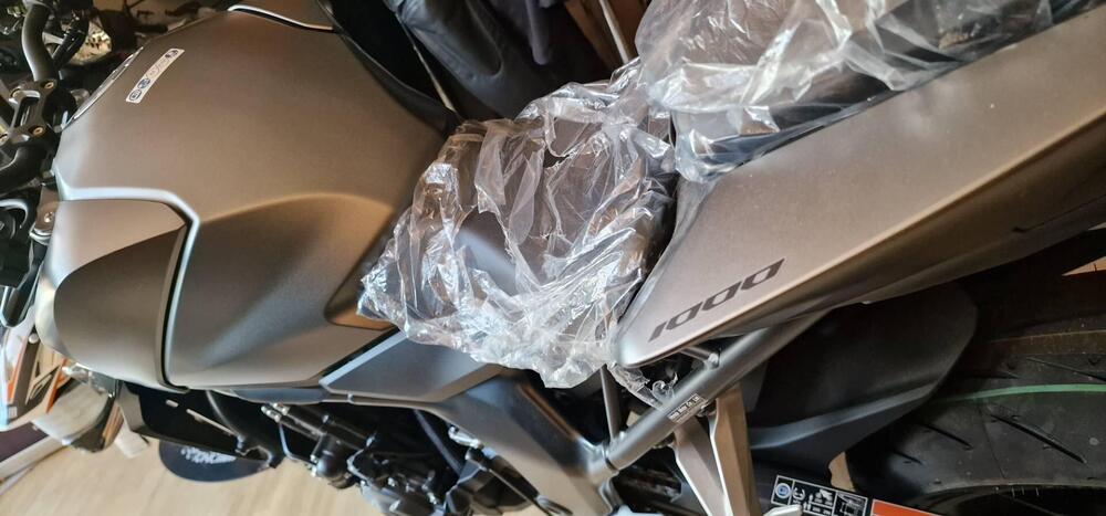 Honda CB 1000 Hornet (2025 - 26) (6)