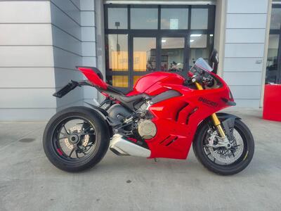 Ducati Panigale V4 S (2022 - 24) usata