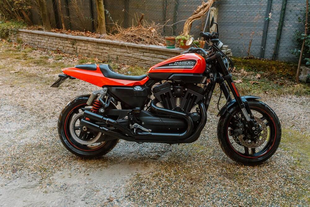 Harley-Davidson 1200 XR X (2010 - 12) (2)