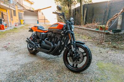 Harley-Davidson 1200 XR X (2010 - 12) usata