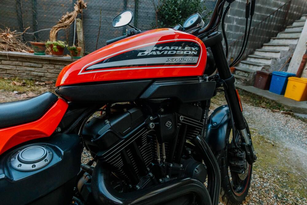 Harley-Davidson 1200 XR X (2010 - 12) (7)