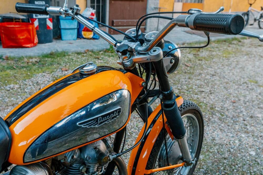 Ducati Scrambler 250 (3)