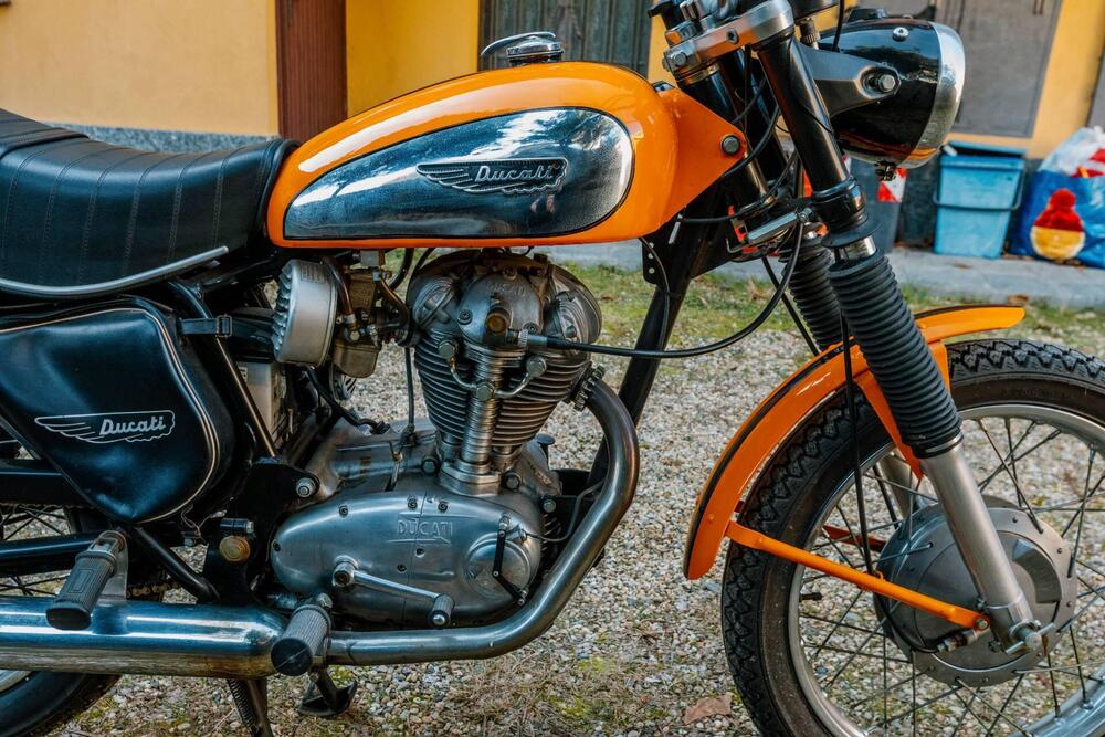 Ducati Scrambler 250 (5)