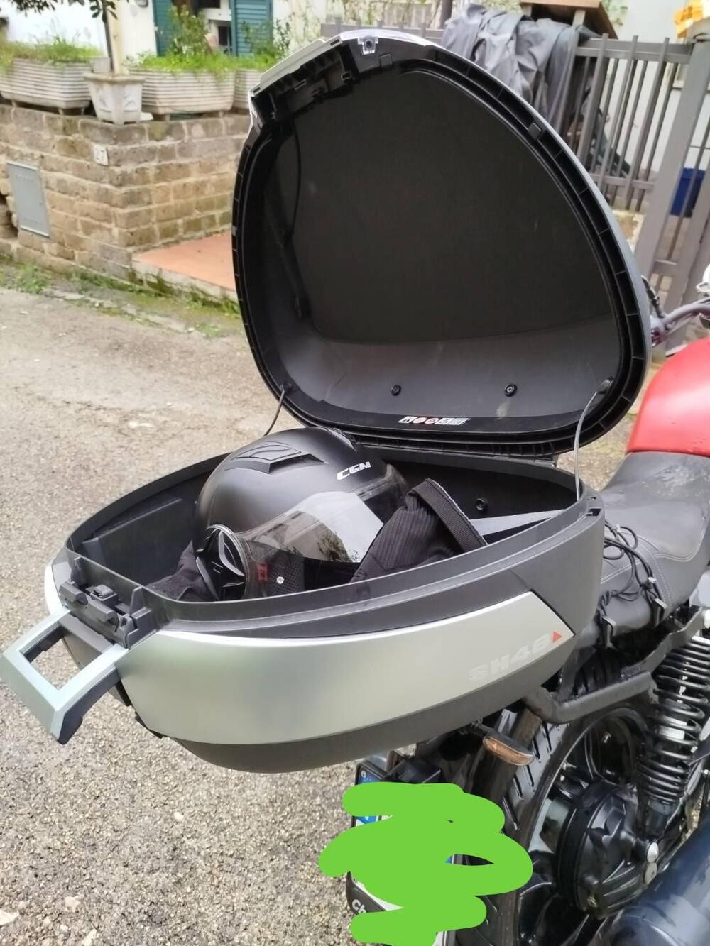 Moto Guzzi V7 Stone (2021 - 24) (7)