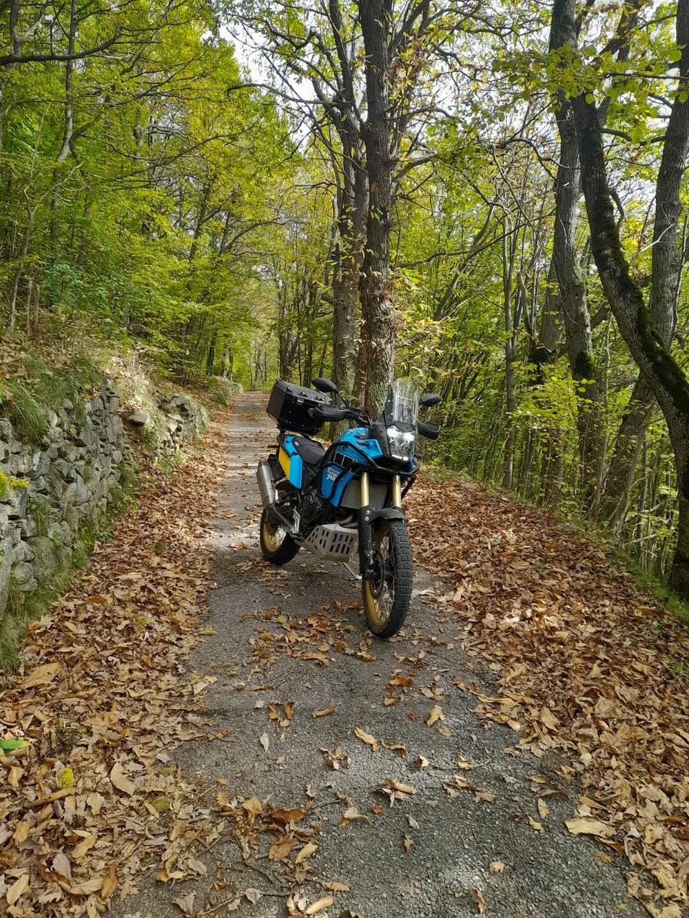 Yamaha Ténéré 700 Rally Edition (2021) (4)