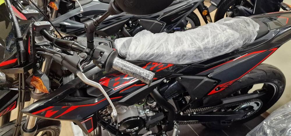 Betamotor RR 50 Motard (2021 - 26)