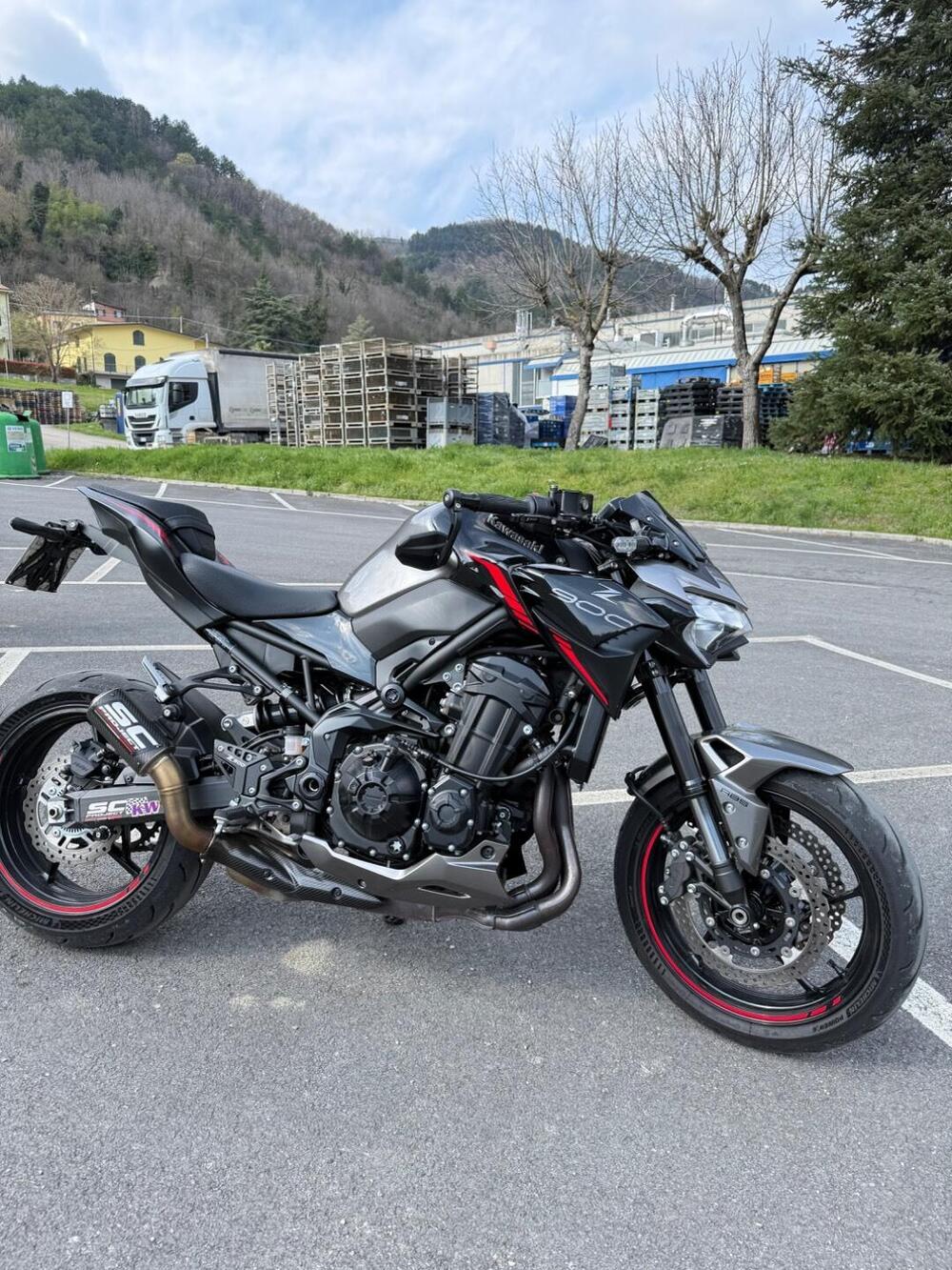 Kawasaki Z 900 (2021 - 24)