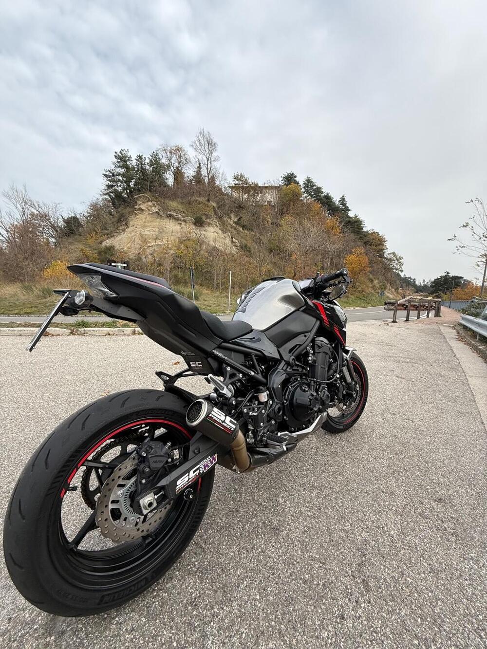 Kawasaki Z 900 (2021 - 24) (3)