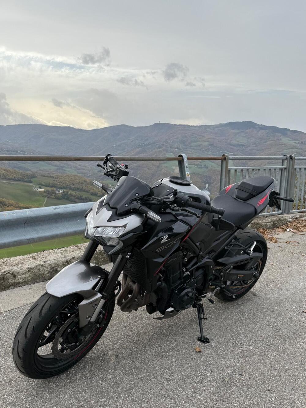 Kawasaki Z 900 (2021 - 24) (7)