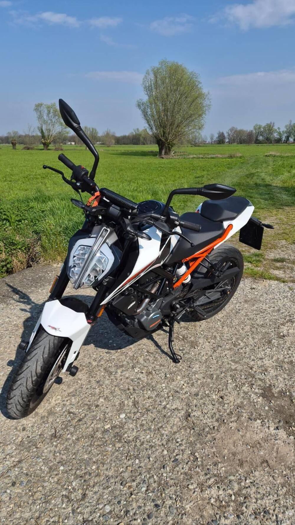 KTM 125 Duke (2021 - 23) (3)