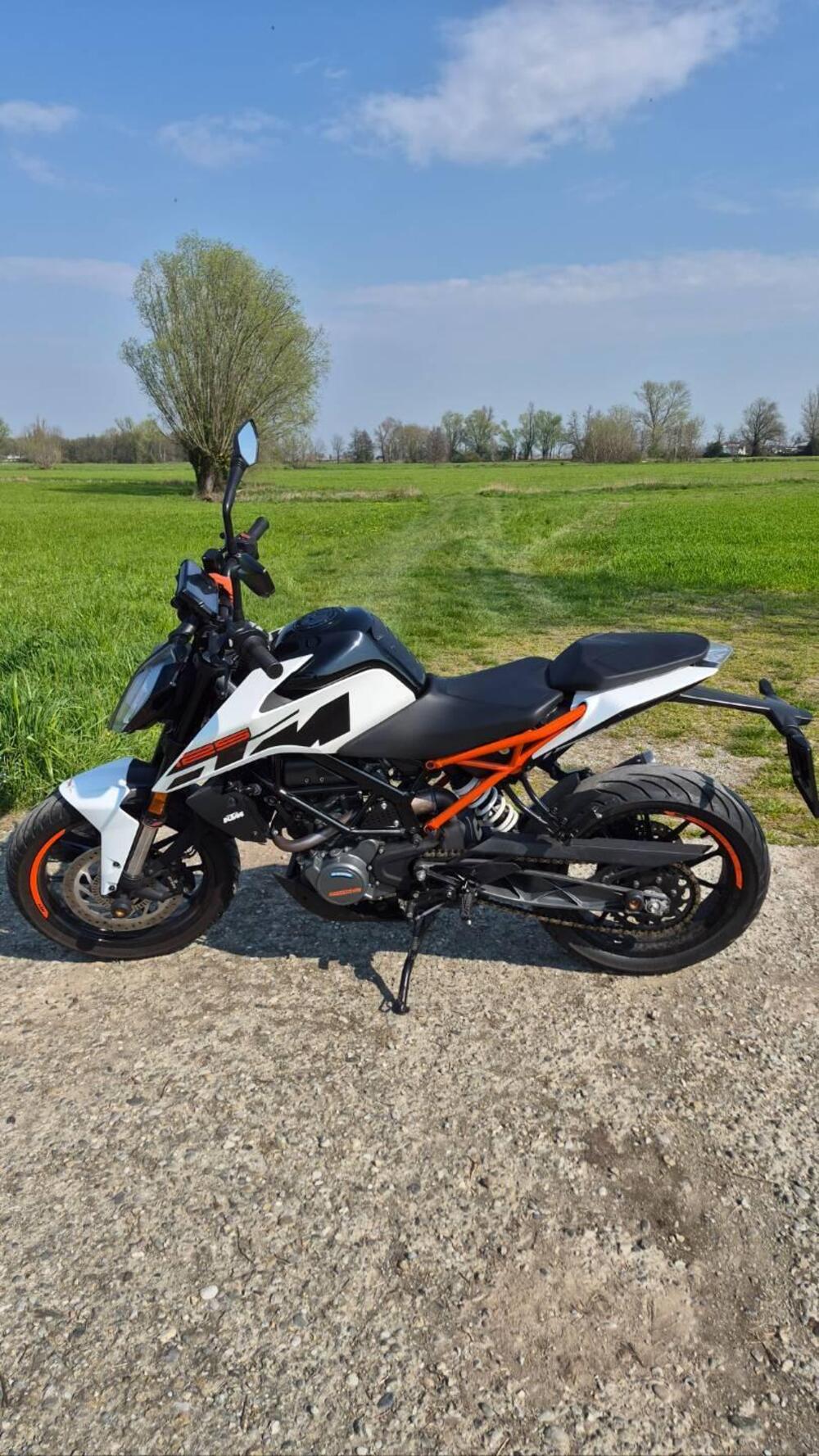 KTM 125 Duke (2021 - 23) (4)
