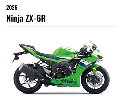 Kawasaki Ninja 636 ZX-6R (2024 - 26) nuova