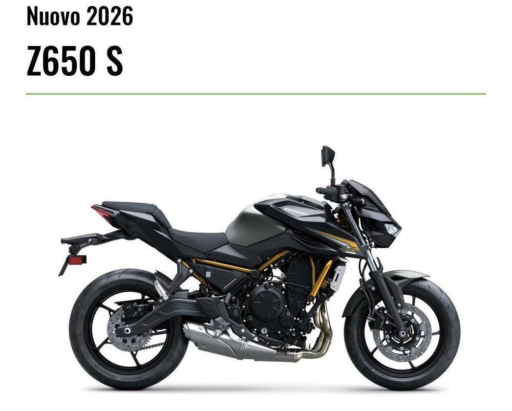 Kawasaki Z 650 S (2026) (2)
