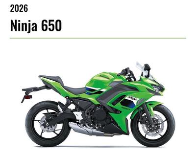 Kawasaki Z 650 (2025 - 26) nuova