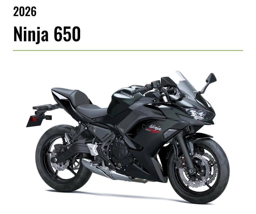 Kawasaki Z 650 (2025 - 26) (2)