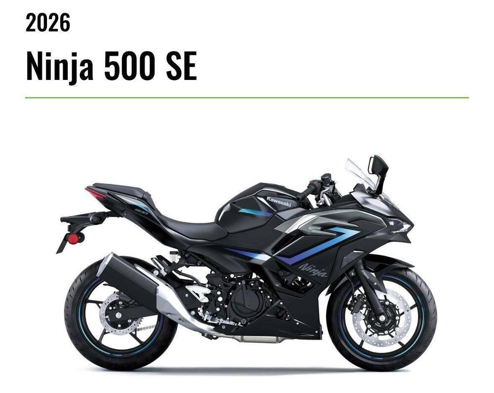 Kawasaki Z 500 SE (2024 - 26) (2)