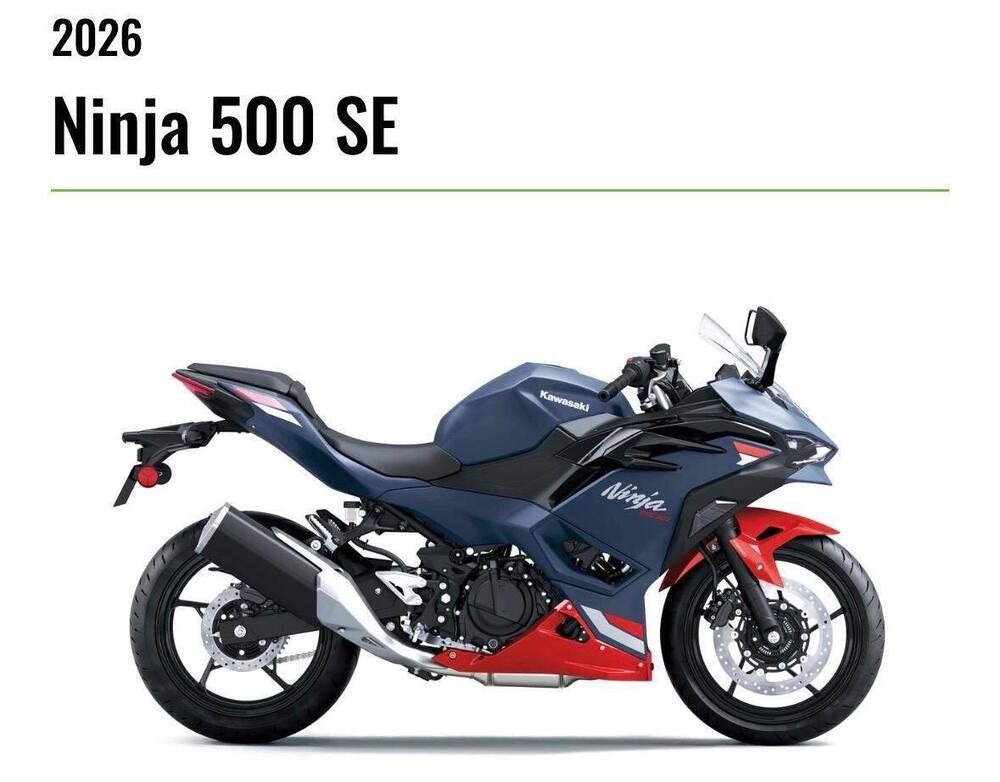 Kawasaki Z 500 SE (2024 - 26) (3)