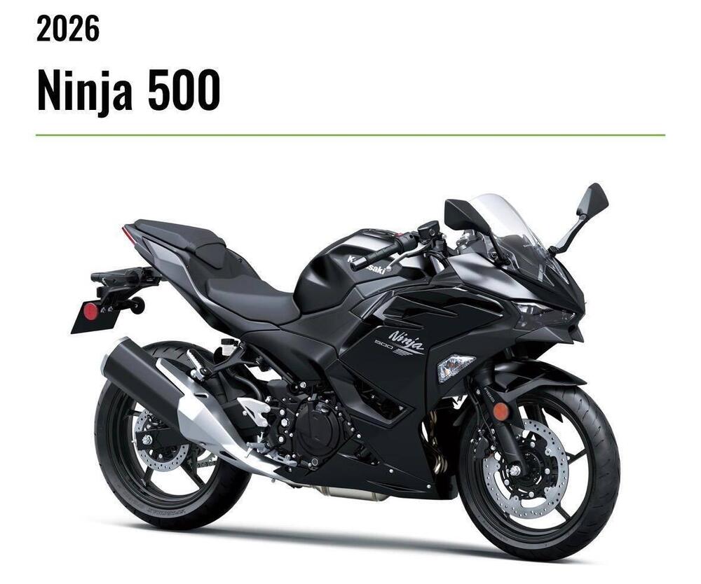 Kawasaki Z 500 (2024 - 26)