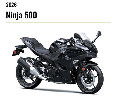 Kawasaki Z 500 (2024 - 26) nuova