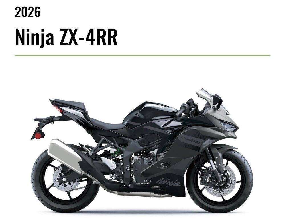 Kawasaki Ninja ZX-4RR (2024 - 26) (2)