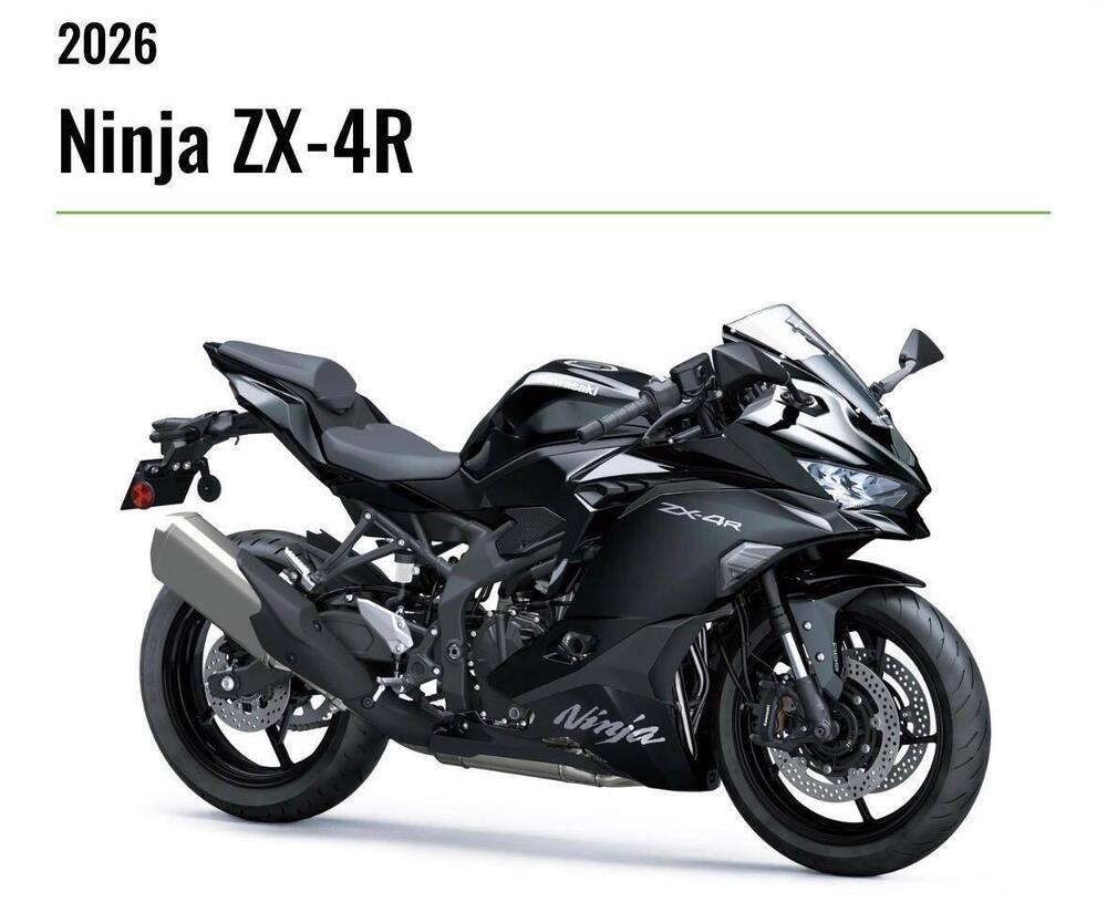 Kawasaki Ninja ZX-4R (2024 - 26)