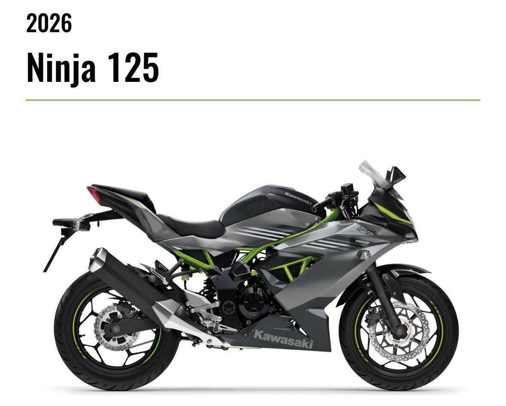 Kawasaki Ninja 125 (2025 - 26) (2)