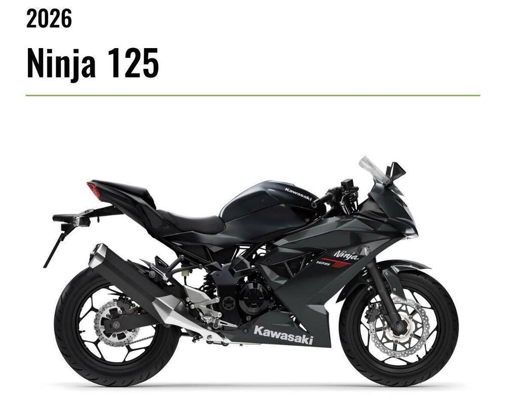 Kawasaki Ninja 125 (2025 - 26) (3)