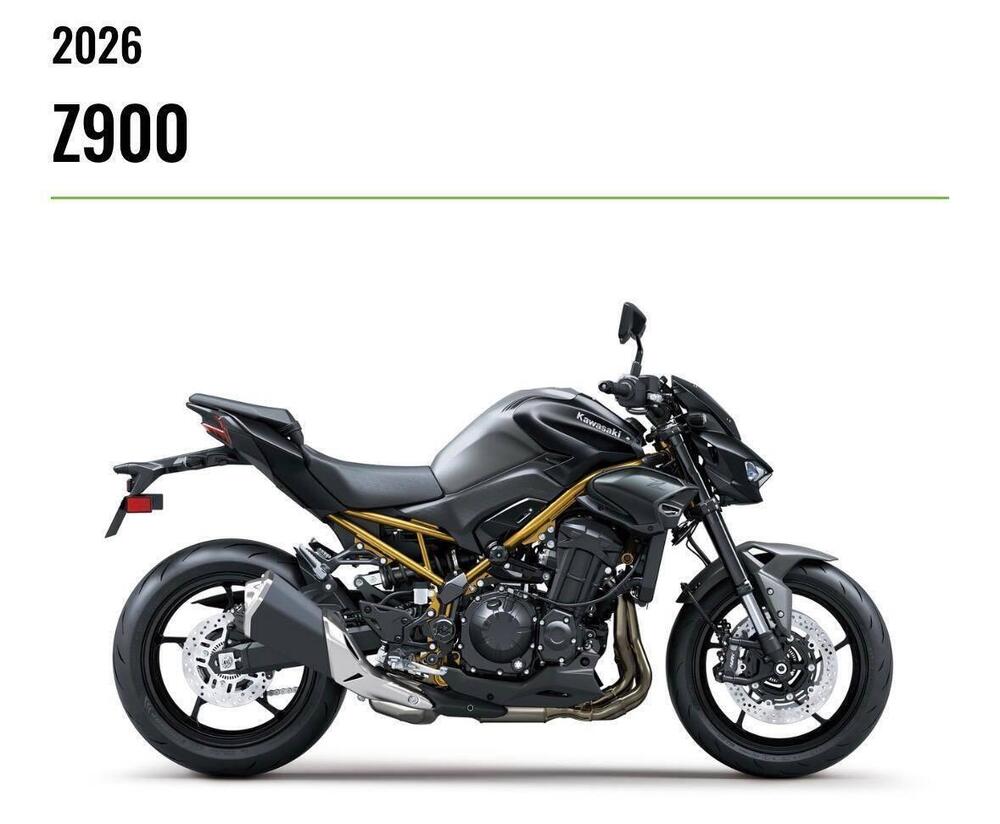 Kawasaki Z 900 (2025 - 26)