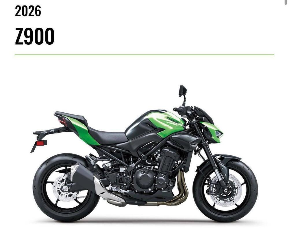 Kawasaki Z 900 (2025 - 26) (2)