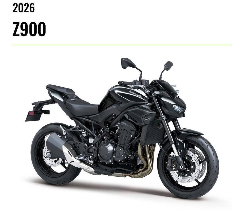 Kawasaki Z 900 (2025 - 26) (3)