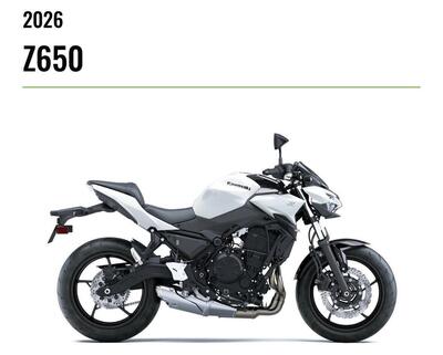 Kawasaki Z 650 (2025 - 26) nuova