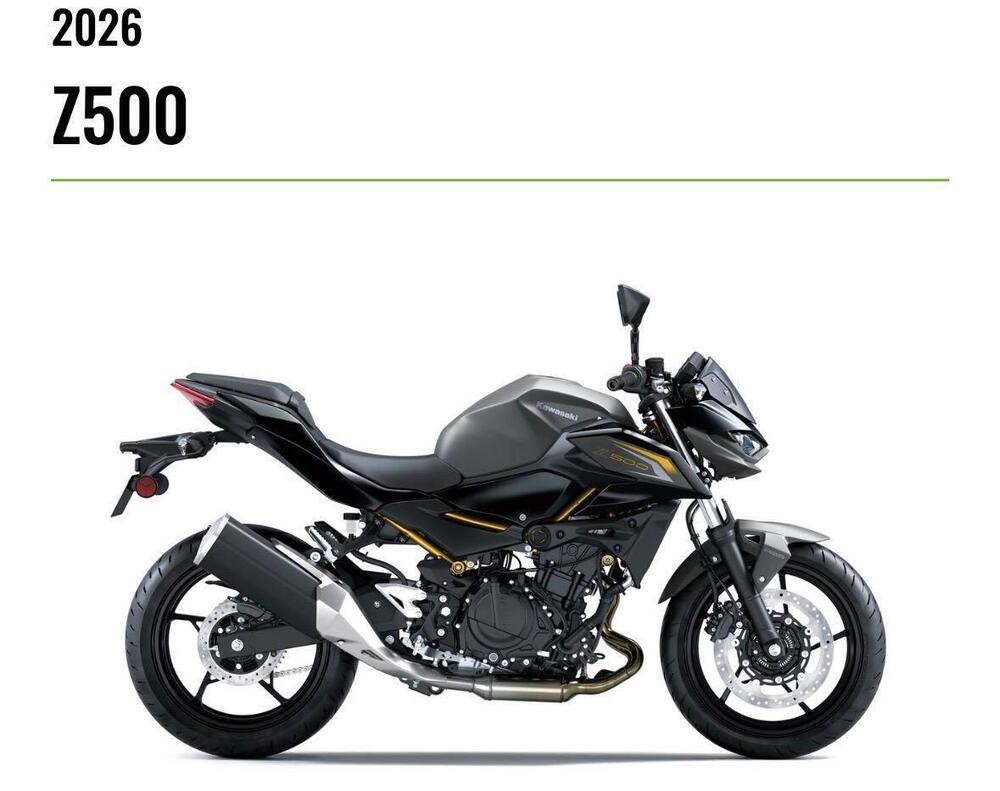 Kawasaki Z 500 (2024 - 26) (2)