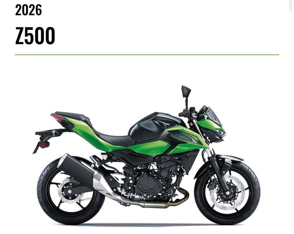 Kawasaki Z 500 (2024 - 26)