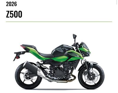 Kawasaki Z 500 (2024 - 26) nuova