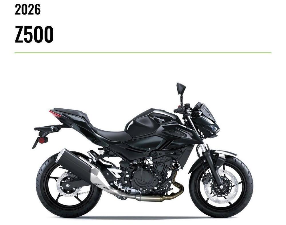 Kawasaki Z 500 (2024 - 26) (3)