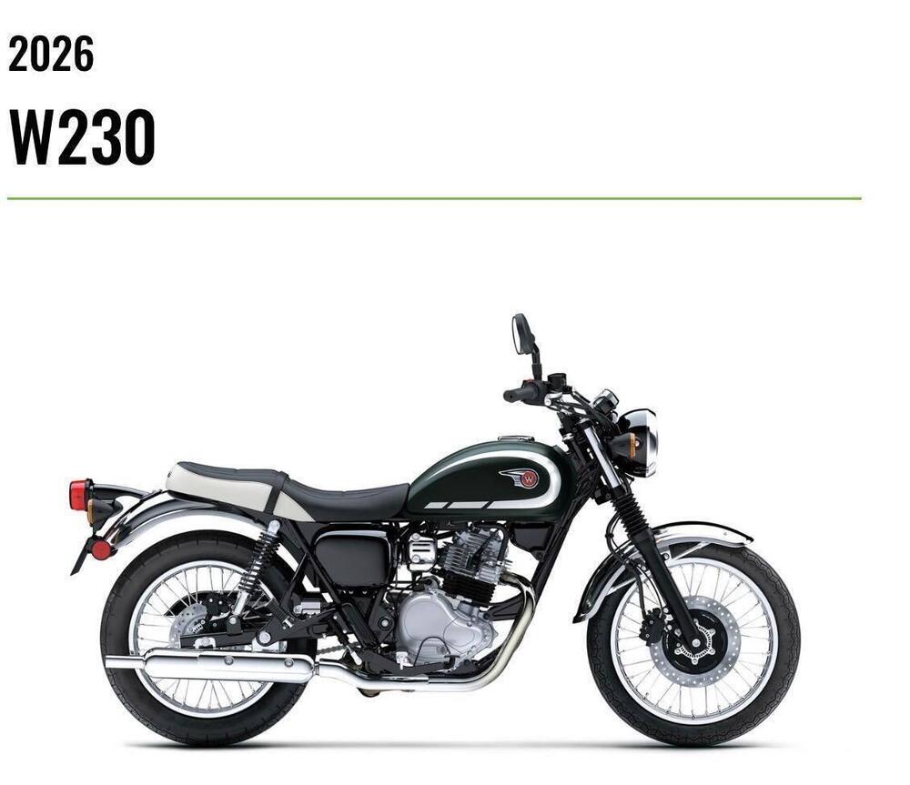 Kawasaki W 230 (2025 - 26)