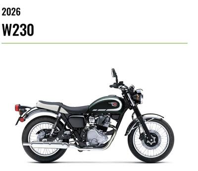 Kawasaki W 230 (2025 - 26) nuova